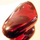 �����ͥåȸ��С�Ķ�����ʡ���5495��