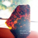 �⥹�������ȡʥ�������ˡ���5513��