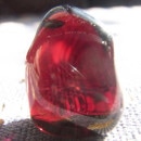 �����ͥåȸ��С�Ķ�����ʡ���5541��