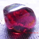 �����ͥåȸ��С�����5542��