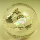 ŷ徽̡43.5mm ꡡ5549