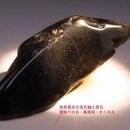 ���˥������С���5557��