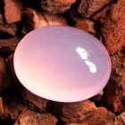 �礭���������������� ��2121��