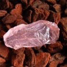 ŷ���������������� ���� ��2123��