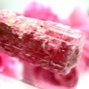 �ԥ󥯥ȥ�ޥ��θ��� ��2483��