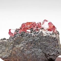 �����ɥ��������ȡʥ��󥫥������ˡ�35g ��3384��