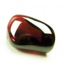 �����ͥåȸ��С�Ķ�����ʡ���4244��