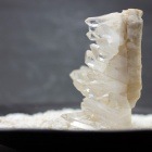 ŷ���徽���饹�������ҥޥ��徽�� ��1629��