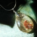 ����륯�����Ĥȥ����ǥ󥯥����ĥڥ����ȡ���4099��