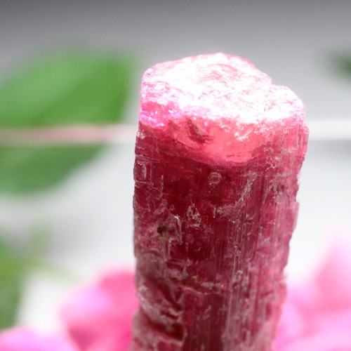 ピンクトルマリンの原石 〔2483〕：原石（天然石 パワーストーン