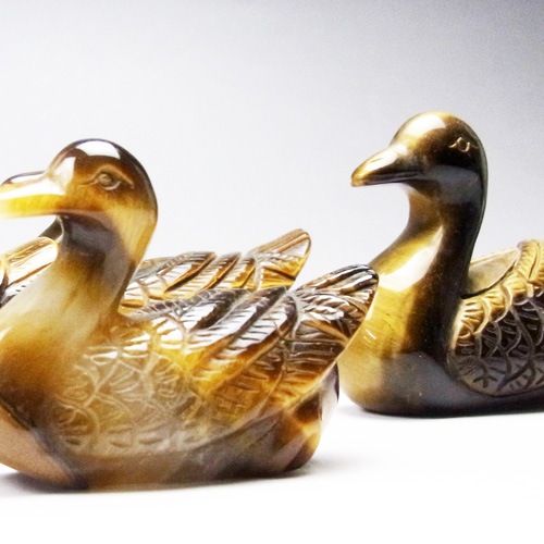 �����������������Ҥ롡��4239��