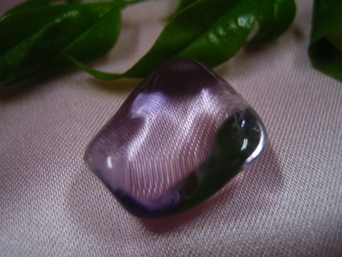 ŷ�����������᥸���ȸ��� ��2511��