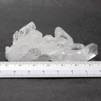 ŷ���徽���饹�� ��1593��