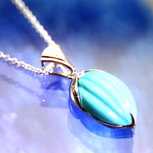 �ڥ����ȥͥå��쥹 �ȥ륳�� ��1749��