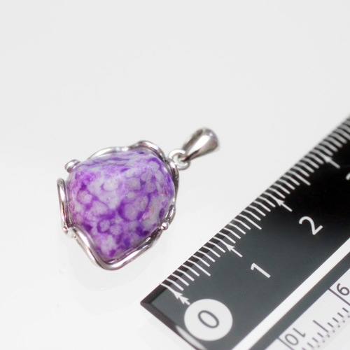 �����饤�ȥڥ����� ������� ��3108��