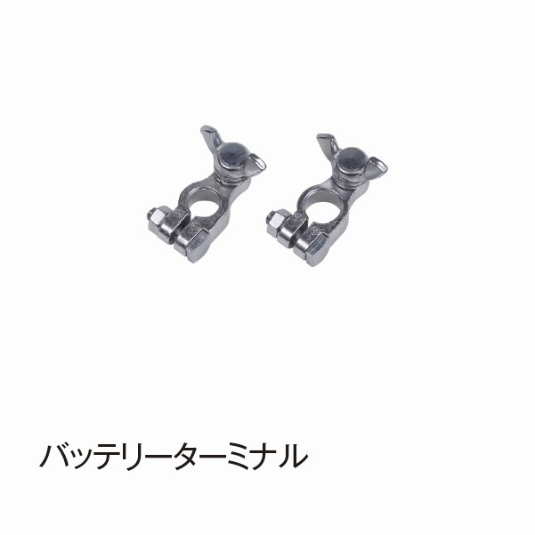 �Хåƥ꡼�����ߥʥ��DSP747��