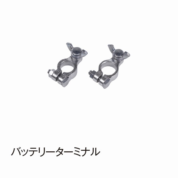 �Хåƥ꡼�����ߥʥ��DSP748��