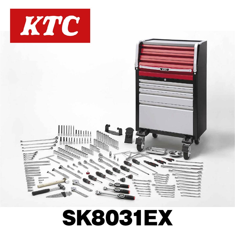 񥻥å(顼ӥͥåȥ)[220]SK8031EX