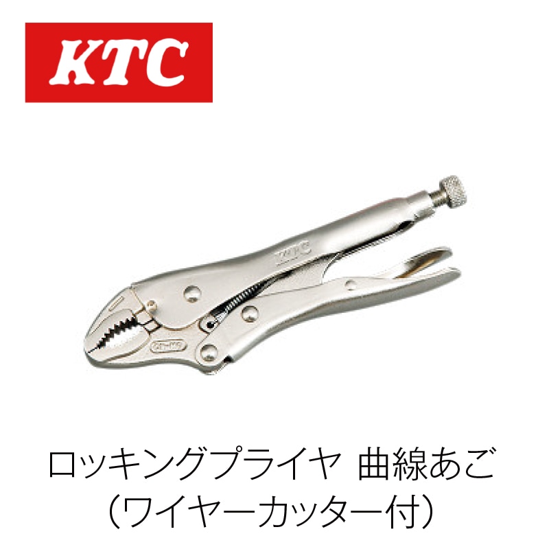 å󥰥ץ饤䡼 (磻䡼å)100WR