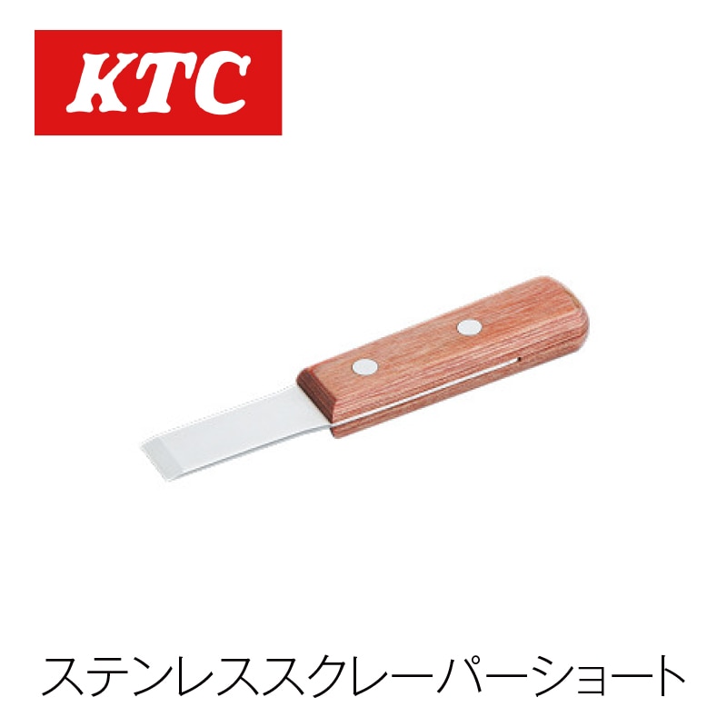 ���ƥ�쥹�����졼�ѡ����硼�ȡ�KZ1S-15��