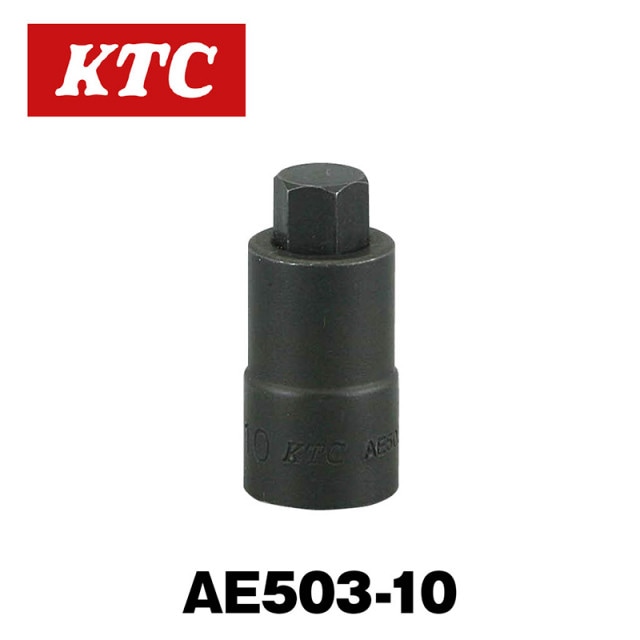 9.5sq.�إ�������ɥ��ץ饰������AE503-10��