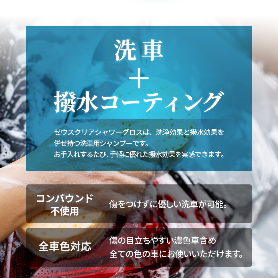 �����奷���ס��ۥ��������ꥢ ���������� ��NGC-SG01-1000��