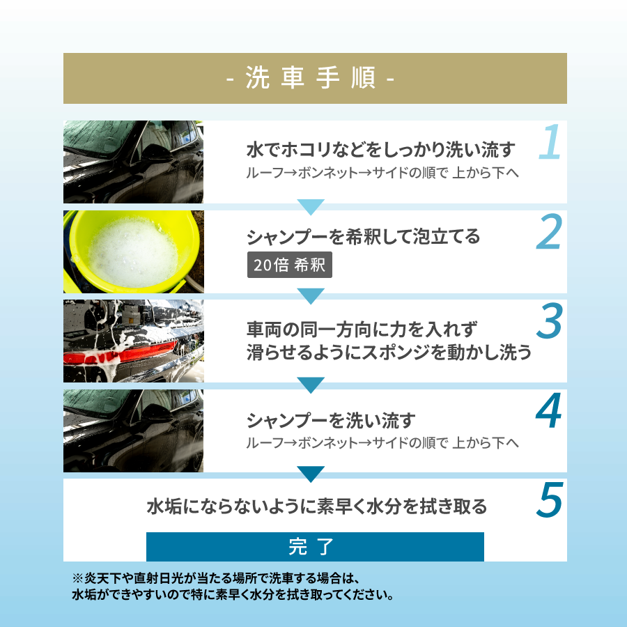 �����奷���ס��ۥ��������ꥢ ���������� ��NGC-SG01-1000��