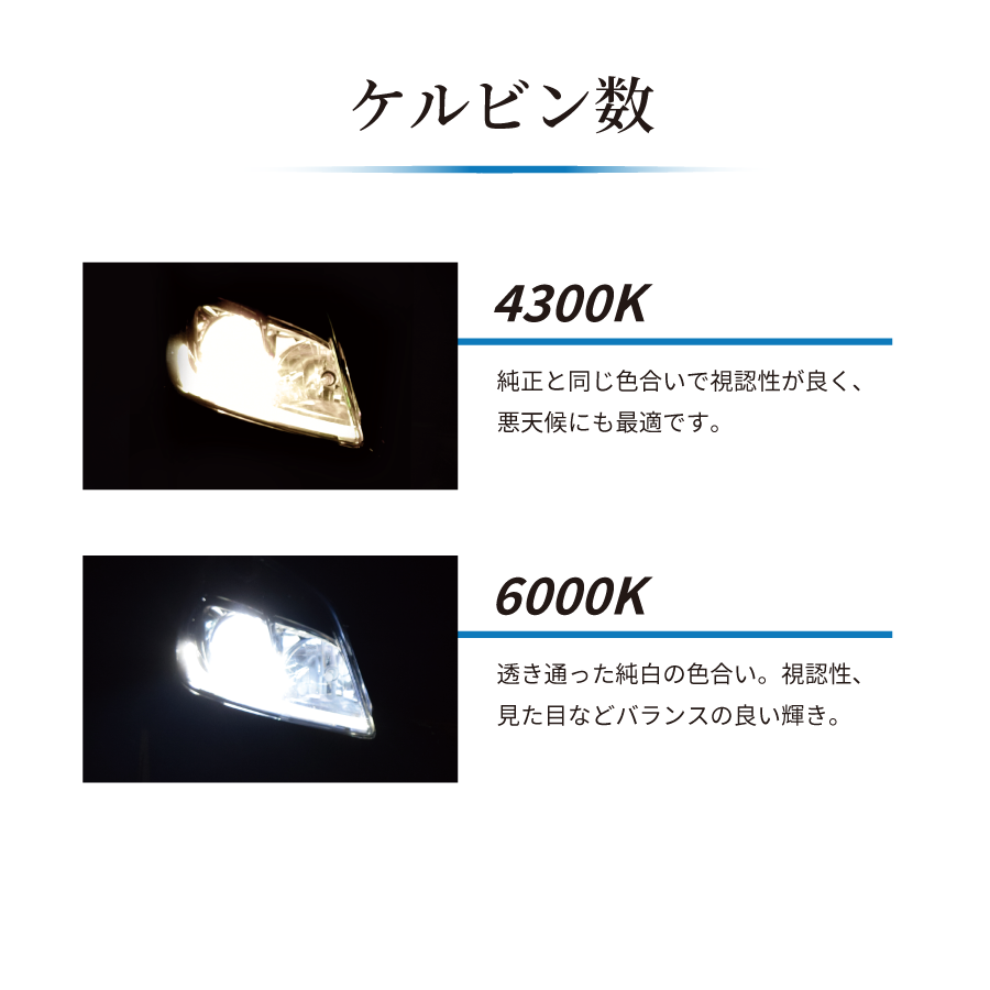 D2S / D2R ����HID���ѥХ�� ���󤿤���ո� �ָ��б� 2�ĥ��åȡ�WH210/WH203��