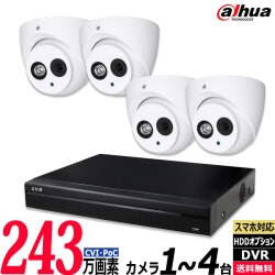 防犯カメラセット 243万画素 ワンケーブル(PoC) 屋内屋外 アナログ1～4台セット 4chDVR レコーダーHDD別 カメラ電源不要 スマホ監視 DAHUA DHPOC-SET-