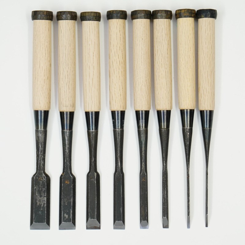 ���ͥ��� ������ ��ñ�ʡ�