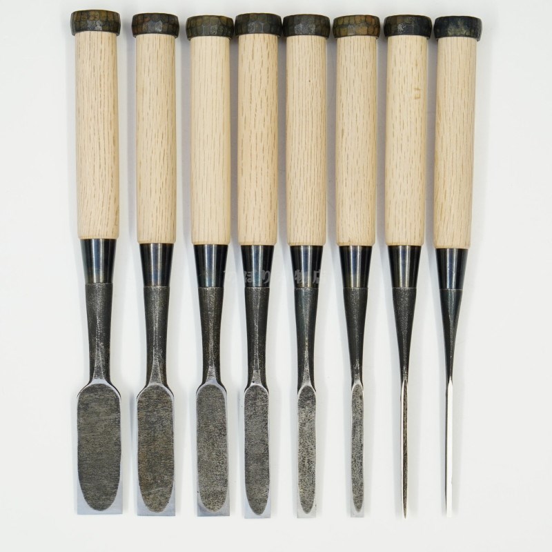 ���ͥ��� ������ ��ñ�ʡ�