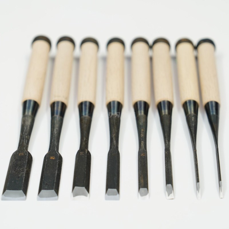 ���ͥ��� ������ ��ñ�ʡ�