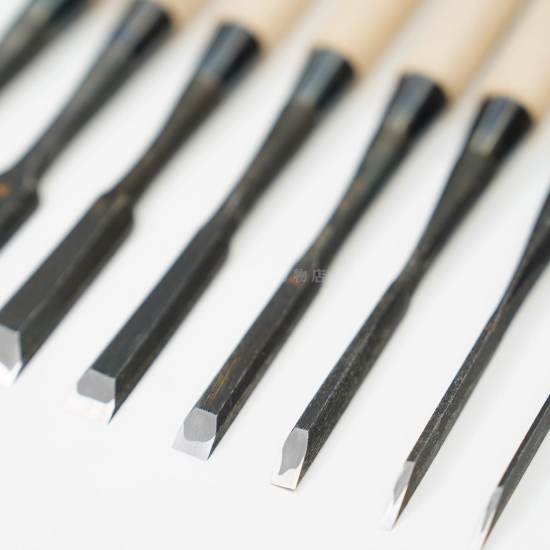 ���ͥ��� ������ ��ñ�ʡ�