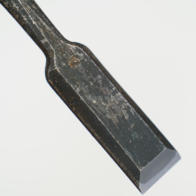 ���ͥ��� ������ ��ñ�ʡ�