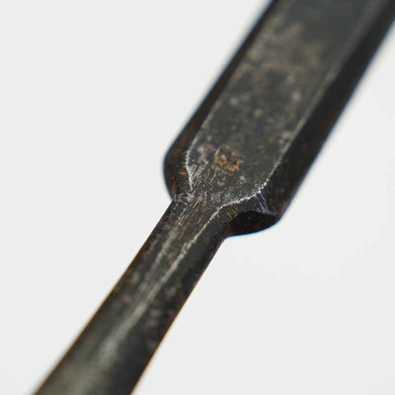 ���ͥ��� ������ ��ñ�ʡ�