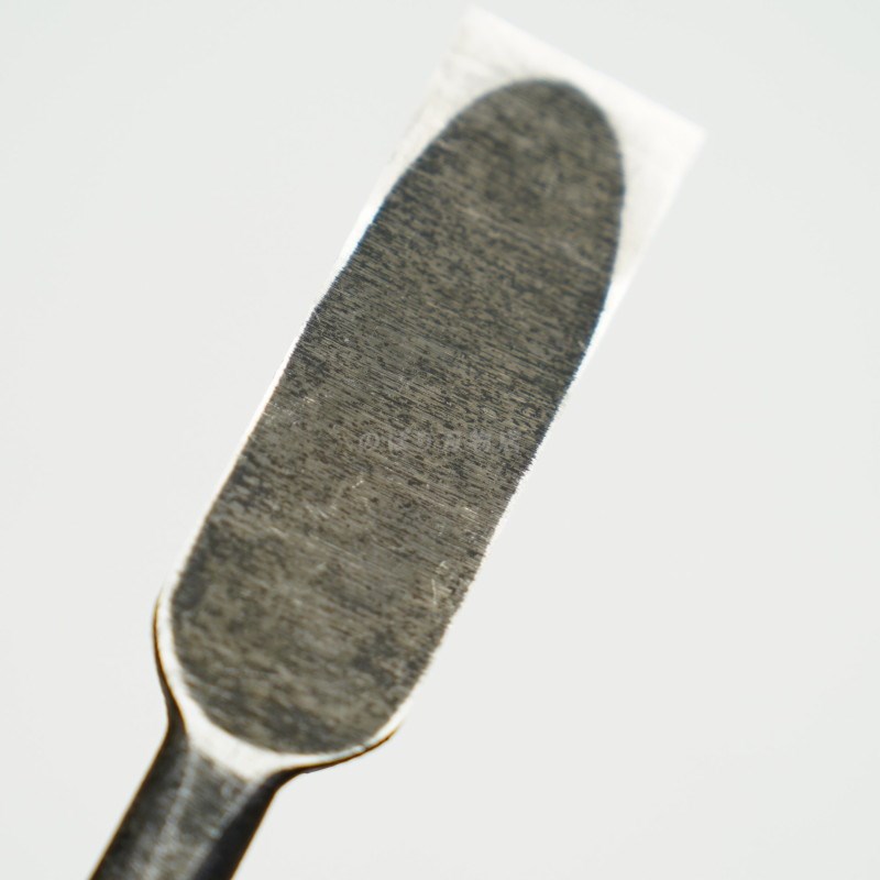 ���ͥ��� ������ ��ñ�ʡ�