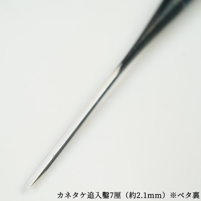 ���ͥ��� ������ ��ñ�ʡ�