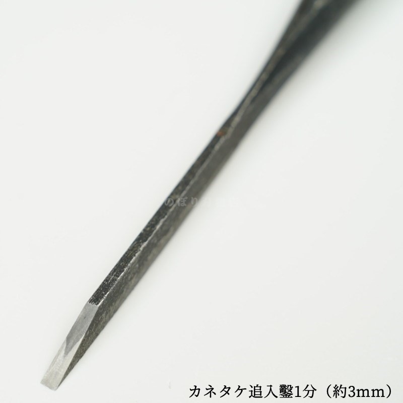 ���ͥ��� ������ ��ñ�ʡ�