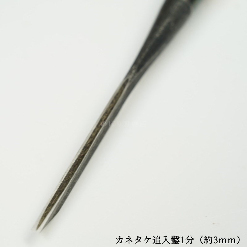 ���ͥ��� ������ ��ñ�ʡ�