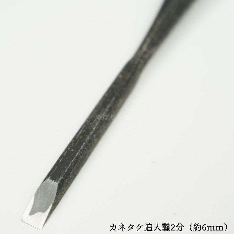 ���ͥ��� ������ ��ñ�ʡ�