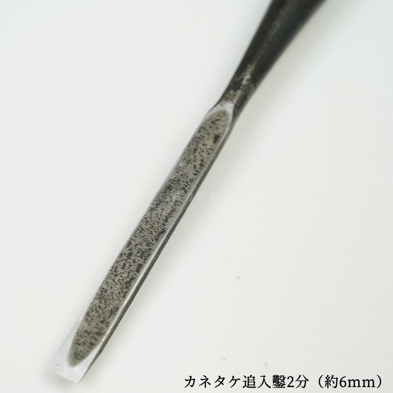 ���ͥ��� ������ ��ñ�ʡ�