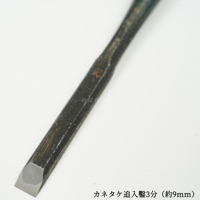 ���ͥ��� ������ ��ñ�ʡ�