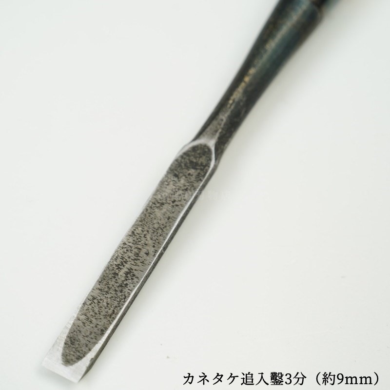 ���ͥ��� ������ ��ñ�ʡ�