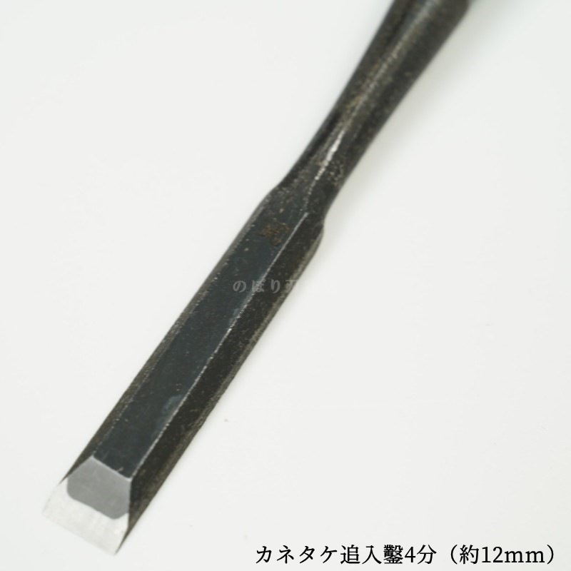 ���ͥ��� ������ ��ñ�ʡ�