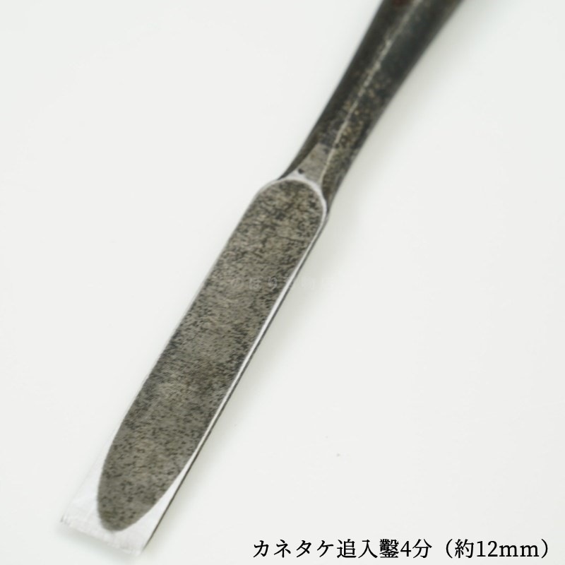 ���ͥ��� ������ ��ñ�ʡ�