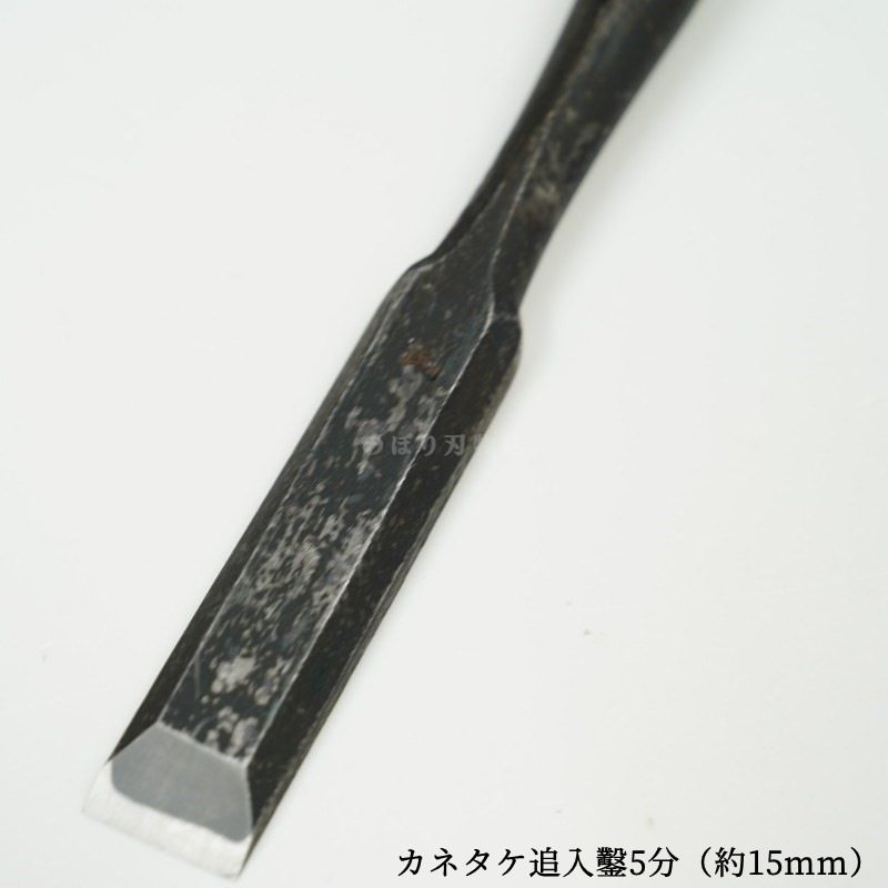 ���ͥ��� ������ ��ñ�ʡ�