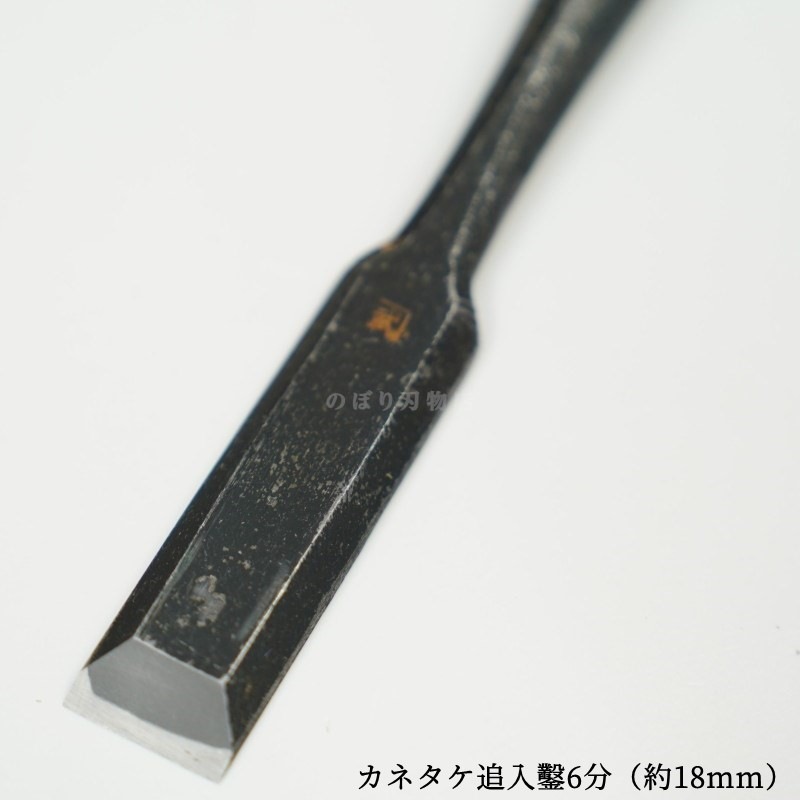 ���ͥ��� ������ ��ñ�ʡ�