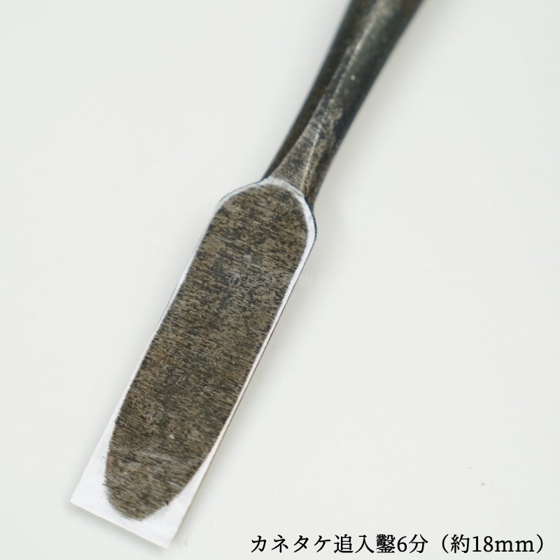 ���ͥ��� ������ ��ñ�ʡ�