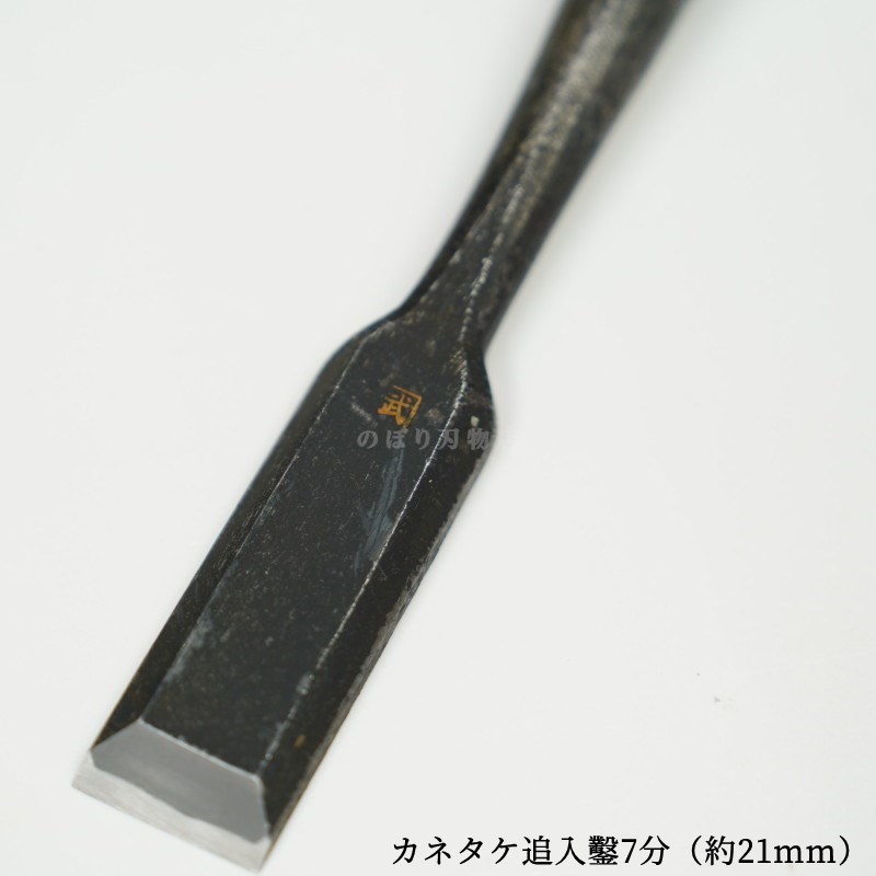 ���ͥ��� ������ ��ñ�ʡ�