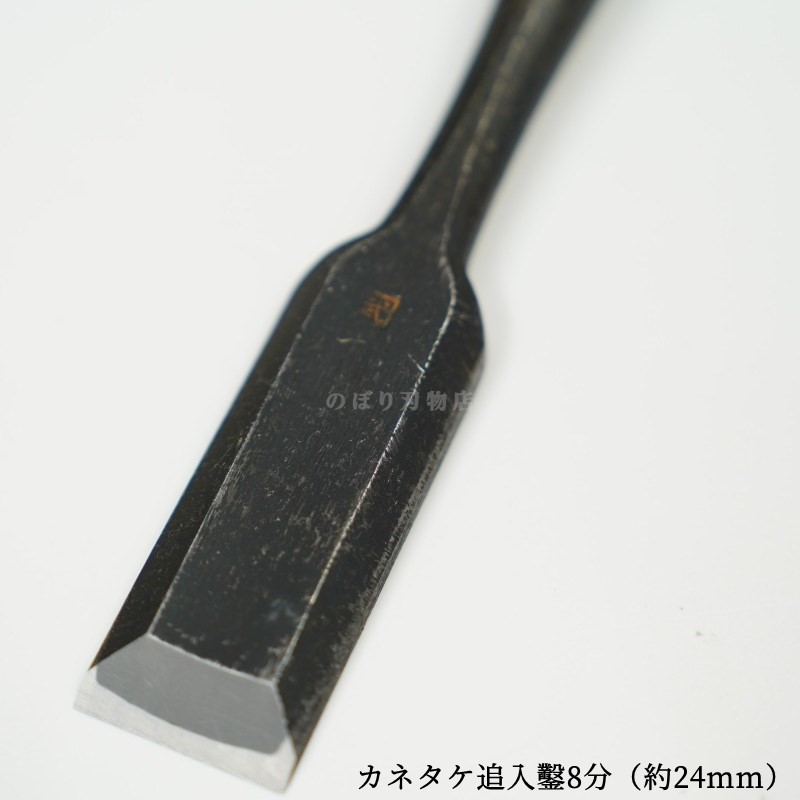 ���ͥ��� ������ ��ñ�ʡ�